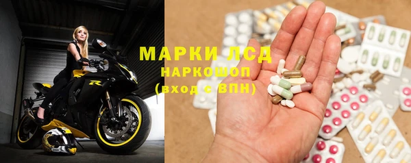 сатива Армянск