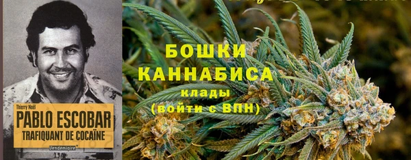 сатива Армянск