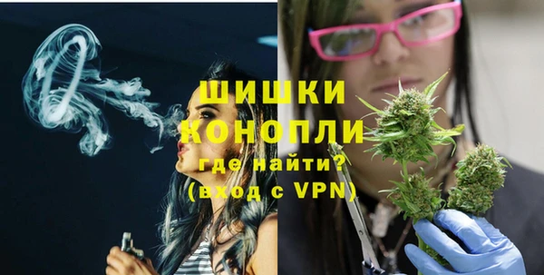 сатива Армянск