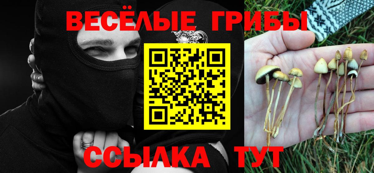 Псилоцибиновые грибы мухоморы Грязи